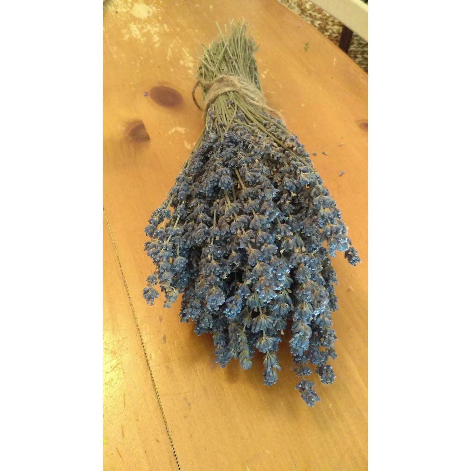 2 Dried English Lavender Bundles Autumn Decor