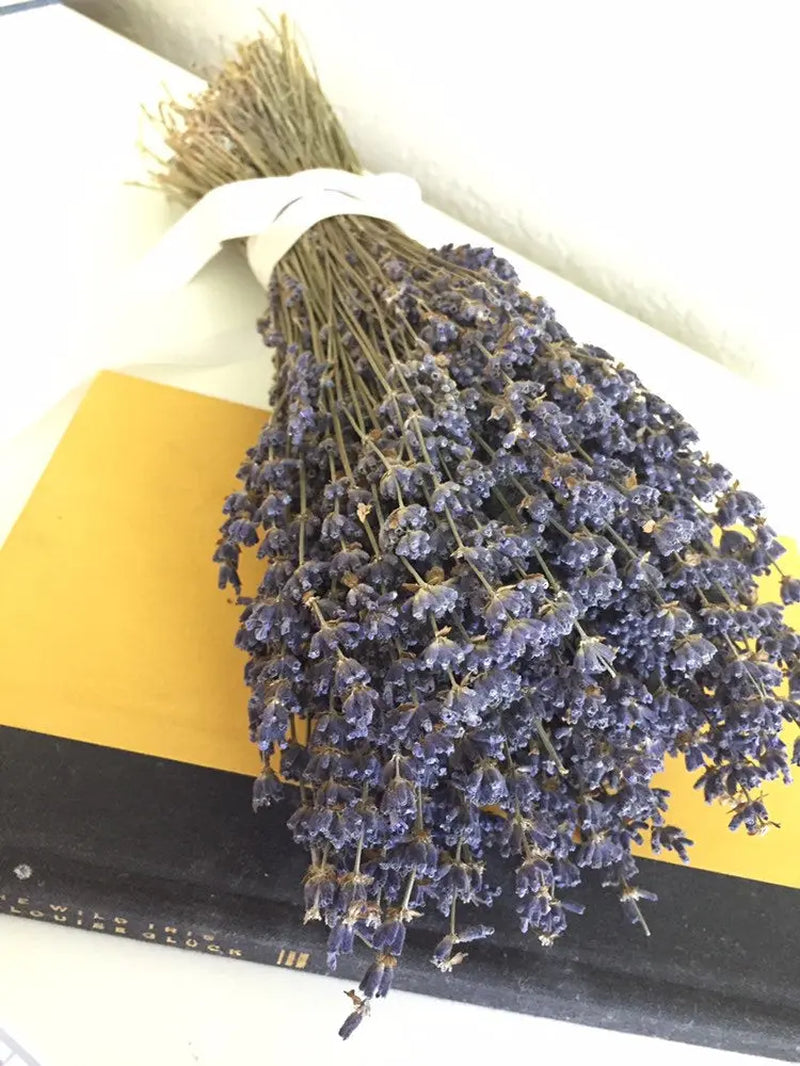 2 Dried English Lavender Bundles Autumn Decor