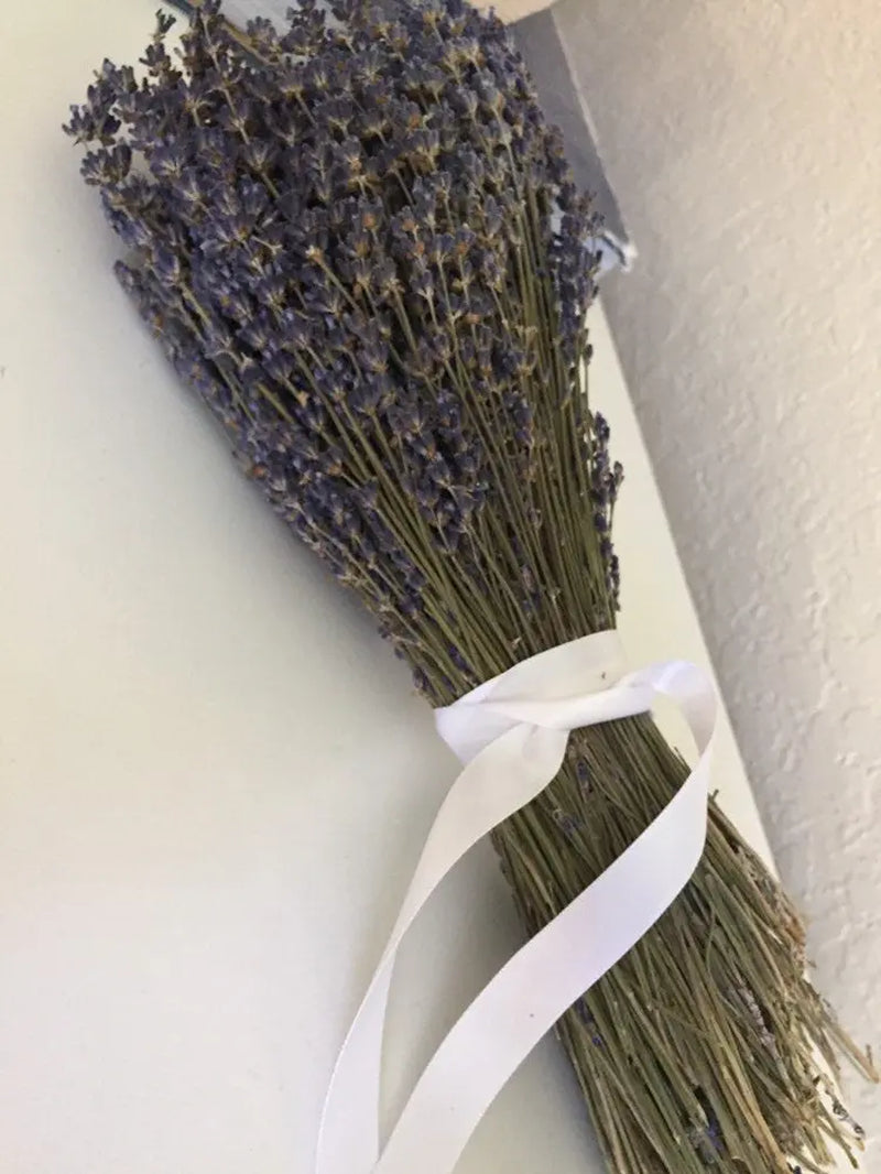 2 Dried English Lavender Bundles Autumn Decor